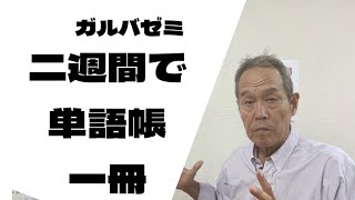ガルバゼミ のアイキャッチ画像