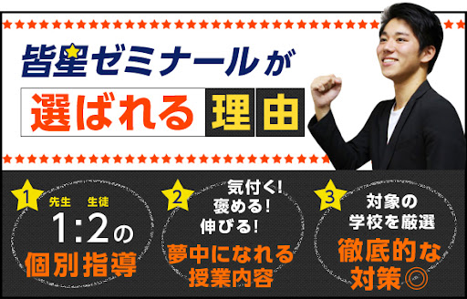 皆星ゼミナール のアイキャッチ画像