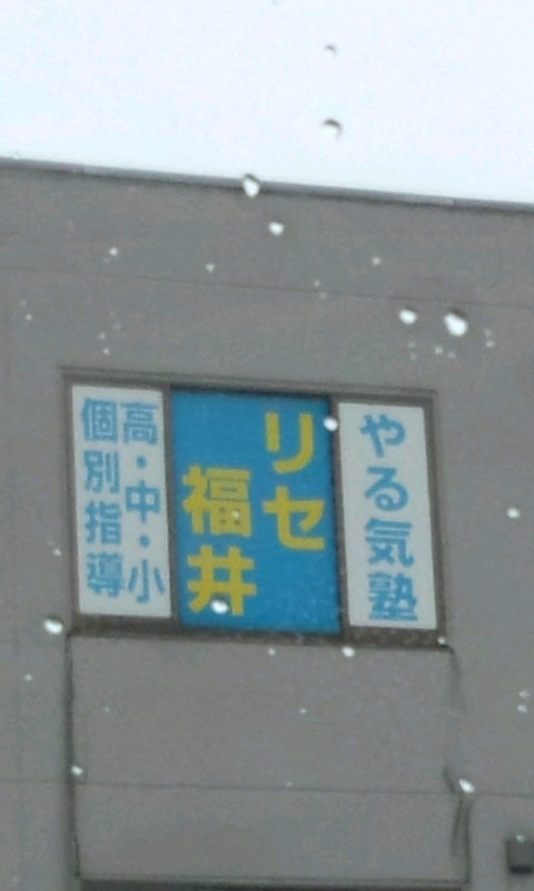リセ福井 のアイキャッチ画像