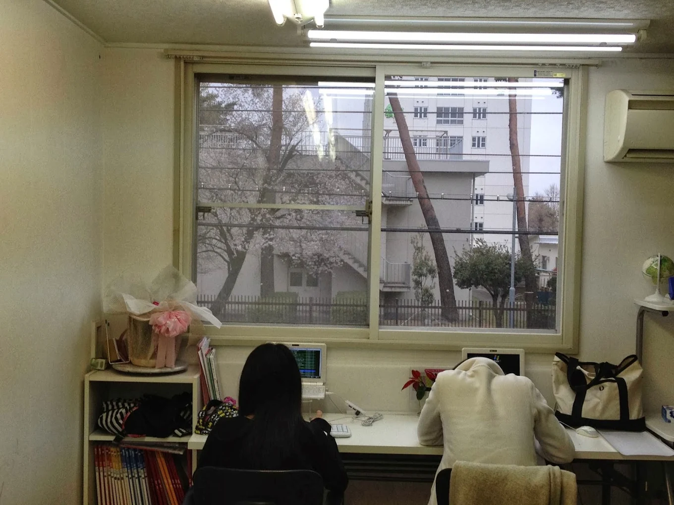 学園ゼミナール のアイキャッチ画像