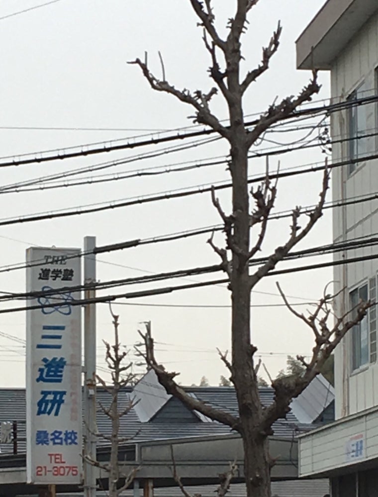 三重進学研究会 のアイキャッチ画像