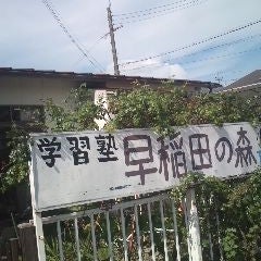 学習塾早稲田の森 本校 のロゴ画像