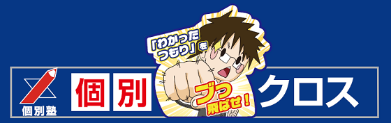 個別クロス のロゴ画像