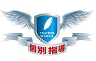フェザースクール のロゴ画像