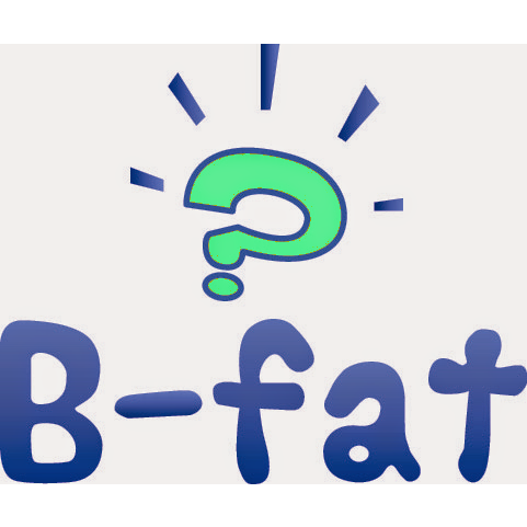 個別指導塾B-fat 上野毛校 のロゴ画像