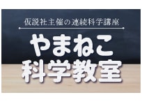 やまねこ学習室　科学教室＆ものづくり講座 本校 のロゴ画像