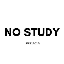 ＮＯ　ＳＴＵＤＹ のロゴ画像