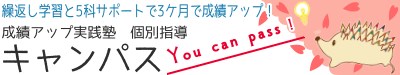 成績アップ実践塾　キャンパス のロゴ画像