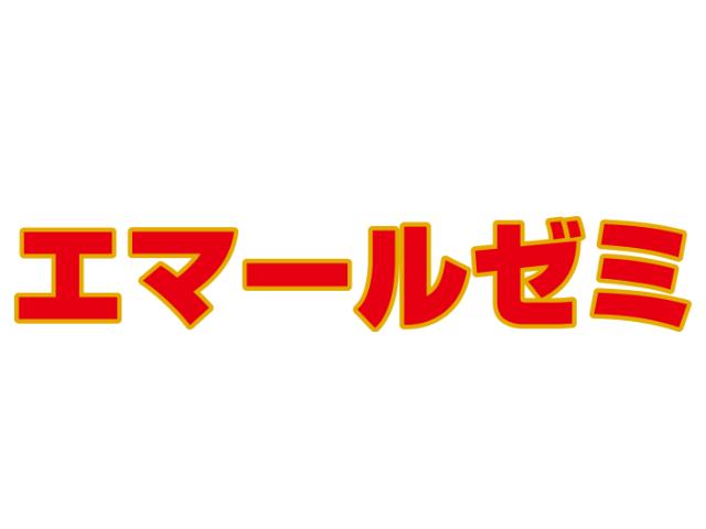 エマールゼミ 本校 のロゴ画像