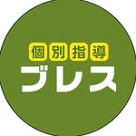 個別指導ブレス のロゴ画像