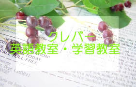 クレバー学習教室 のロゴ画像