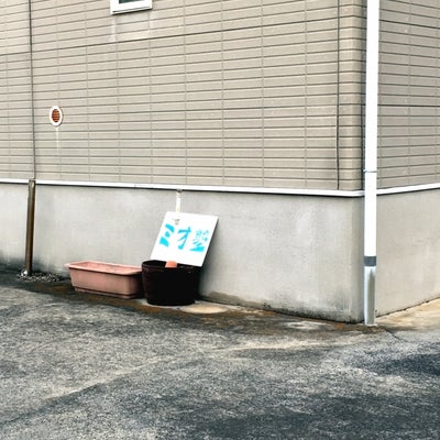 ミオ塾 本校 のロゴ画像