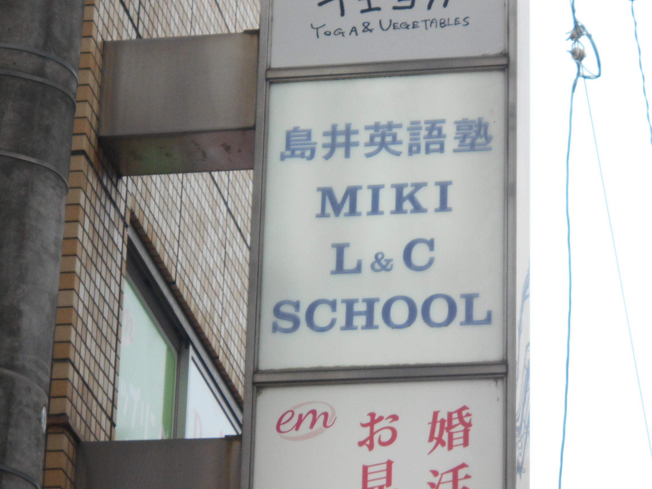 島井英語塾 本校 のロゴ画像