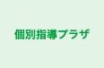 個別指導プラザ 本校 のロゴ画像