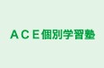ACE個別学習塾 本校 のロゴ画像