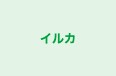 イルカ のロゴ画像