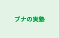 ブナの実塾 のロゴ画像