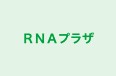 ＲＮＡプラザ のロゴ画像