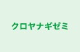 クロヤナギゼミ 本校 のロゴ画像