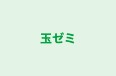 玉ゼミ 本校 のロゴ画像