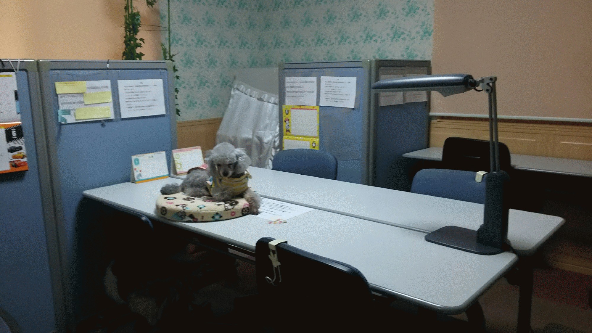 つばさ学塾 本校 の内観画像