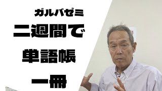 ガルバゼミ のアイキャッチ画像