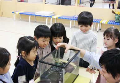 理英会 のアイキャッチ画像