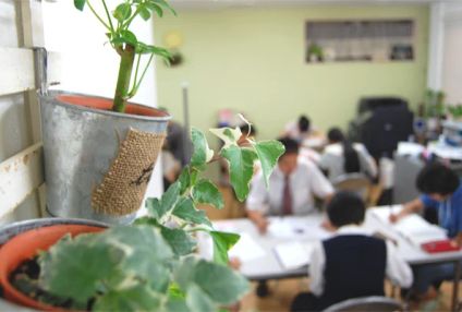 学習指導ジャムスクール のアイキャッチ画像