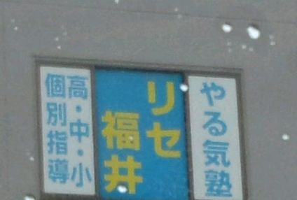 リセ福井 のアイキャッチ画像