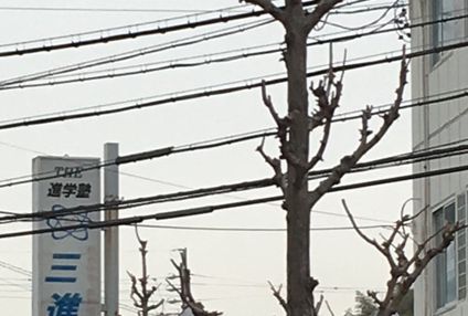 三重進学研究会 のアイキャッチ画像