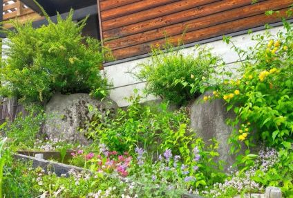 諏訪まなびや のアイキャッチ画像