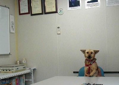 大山田野田塾 のアイキャッチ画像