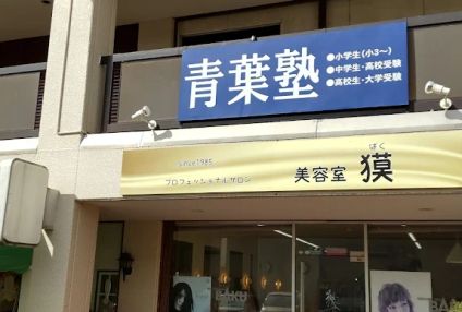青葉塾［岡山県岡山市中区］ のアイキャッチ画像