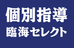 臨海セミナー　個別指導セレクト 学芸大学 のロゴ画像