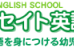 ニッセイト英語専門教室 池袋スクール のロゴ画像