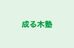 成る木塾 南堀江教室 のロゴ画像
