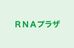 ＲＮＡプラザ 本校 のロゴ画像